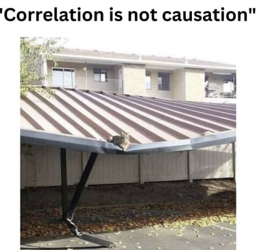 A meme showing a cat on a collapsed carport roof illustrating why correlation is not causation.