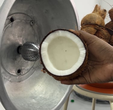 mawar coconut used for traditional coconut oil fermentation