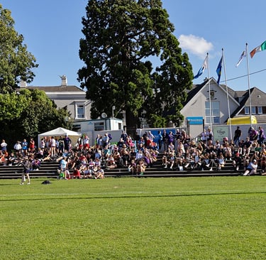 Spectators watching from the steps in Kilmacud Crokes Glenalbyn