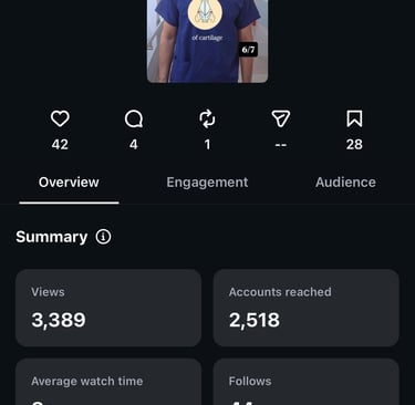 Video analytics during my involvement showing 44 followers gained from 3,389 views