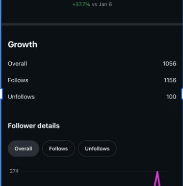 January to February follower chart