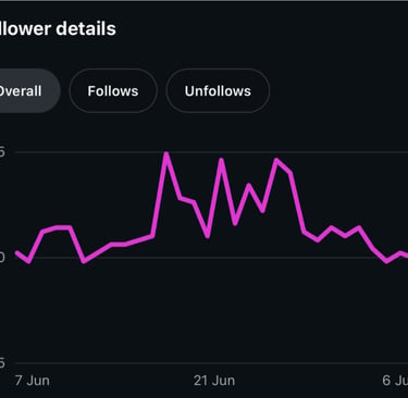 June to July Instagram follower growth chart