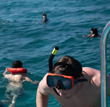Snorkeling Saona Island