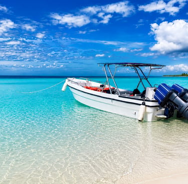 Speedboat Saona Island