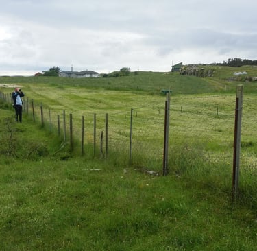 The white patch behind the birder was a favorite spot for the bird.
