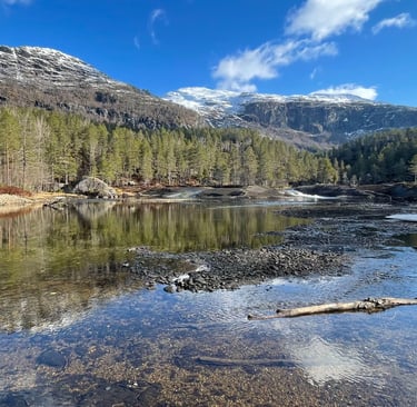 Upstream of Lake Låtevatn is scenic beautiful, but also packed with Woodpeckers.