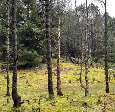 Skjold, Øygarden