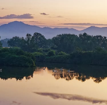 Still Waters
