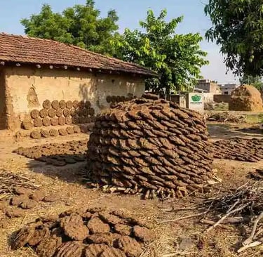 indian cow dung cakes