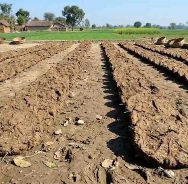 cow dung cake wholesale