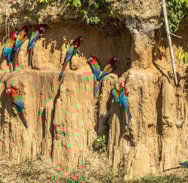 Peru Weather 2026 – Andes Monthly Climate (Highlands & Mountains)