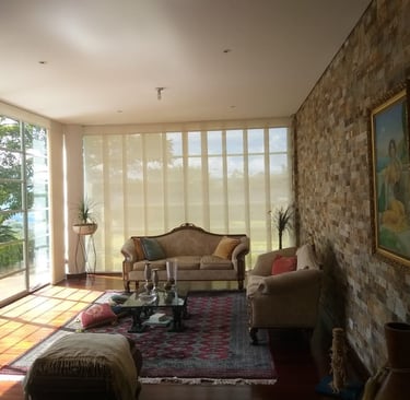 persiana panel japones