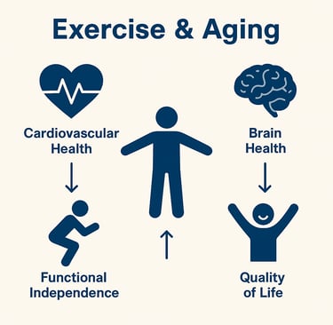 The Complete Guide to Exercise for Seniors: Stay Strong, Healthy, and Independent