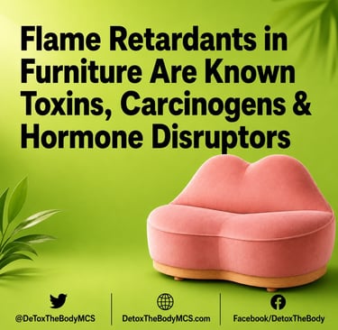 detox meme flame retardent