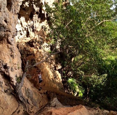 Cuerva de Vaca