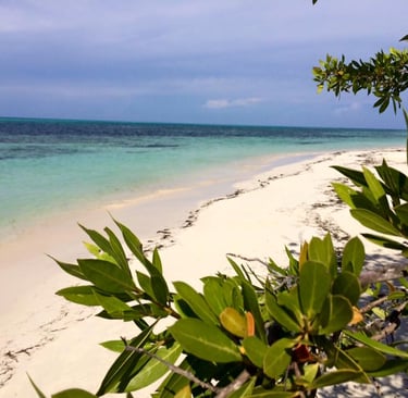 Cayo Levisa