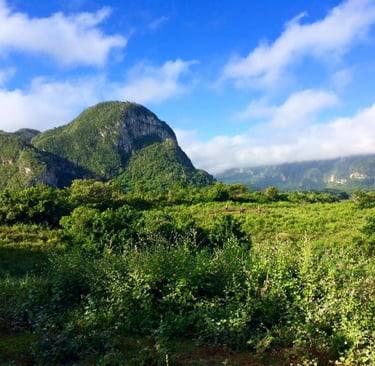 Vinales Mogotes