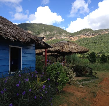 vinales