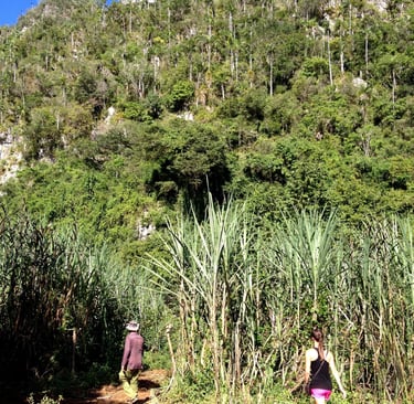 Vinales-Cuba