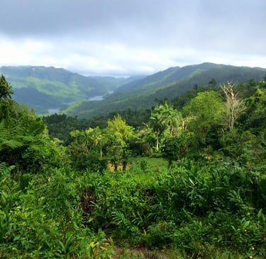 Massif de l'escambray