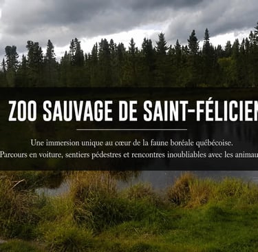 zoo saint félicien