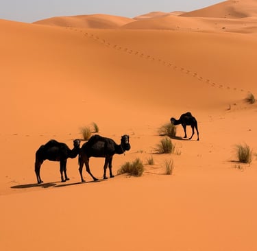 Merzouga