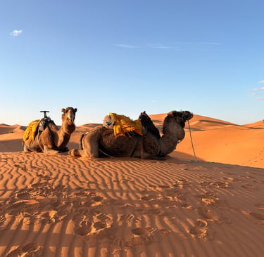 Merzouga