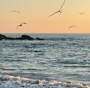 Seagulls flying over ocean waves at sunset on a sandy beach coastline.