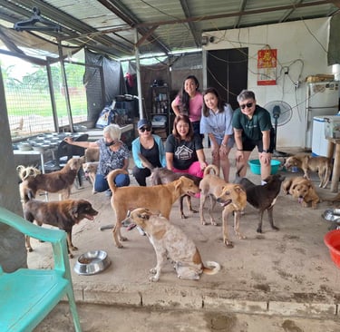 Home 4 Paws (formerly Pag Amuma rescues)
