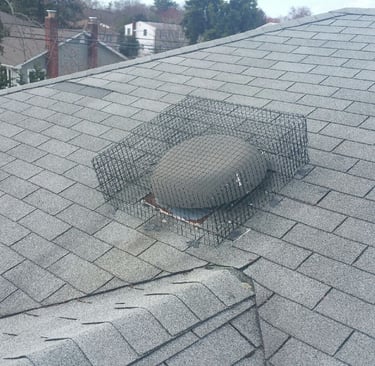 Attic fan cover