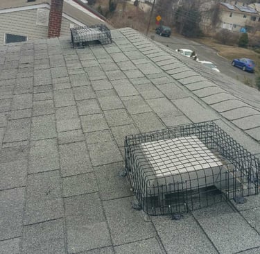 Roof vent covers