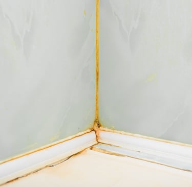 Humedad y moho en juntas de baño con silicona deteriorada