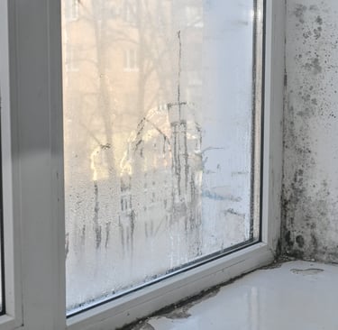 Condensación en ventana y moho negro en pared interior