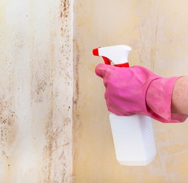 Aplicando spray antimoho en pared con manchas de humedad