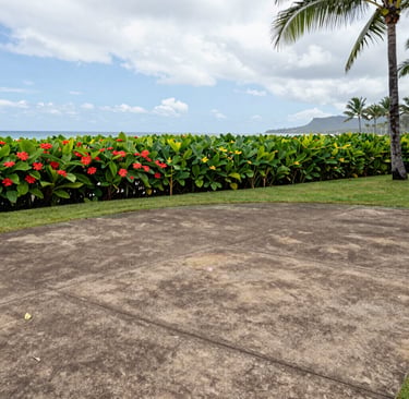 New concrete patio overlooking the ocean
