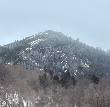 A mountain with snow still visible, and a grey-blue sky.