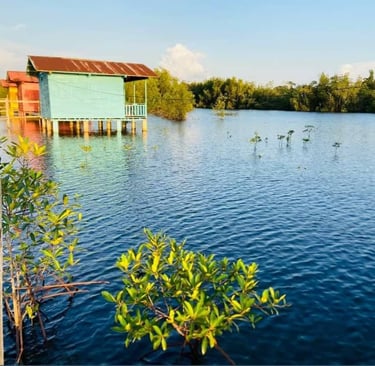 Imagine waking up to the gentle sound of water beneath your bungalow…