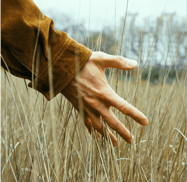 Persona tocando con las puntas de los dedos las plantas mientras camina