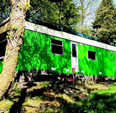 Residency accommodation in Tayvallich, Scotland, surrounded by coastal woodland and Atlantic rainfor