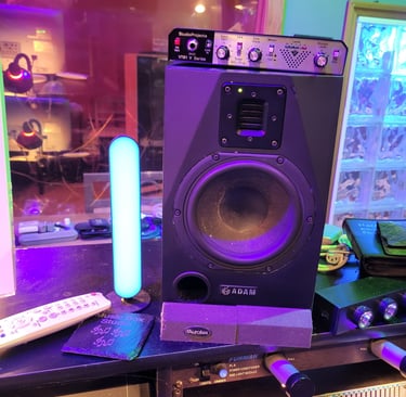 Adams monitor speaker