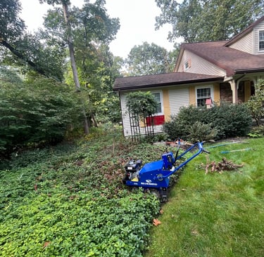 A blue BlueBird sod cutter landscaping machine trimming an overgrown garden bed near a house.