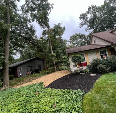 Backyard landscaping featuring fresh black mulch, a gravel path, and lush green ground cover plants.
