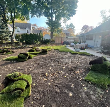 Fresh rolls of green sod being installed on a prepared dirt backyard for new lawn landscaping.
