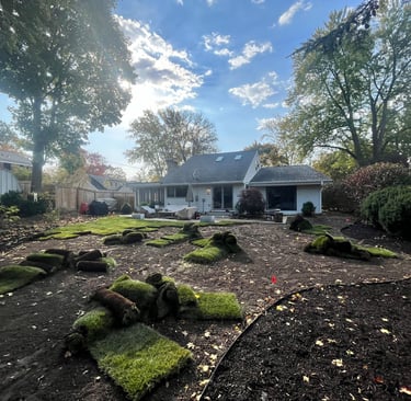 Residential backyard lawn renovation with new grass sod rolls being installed on fresh soil.