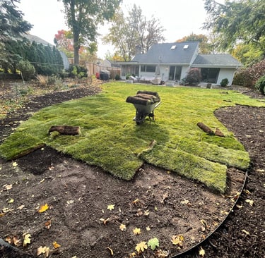 New green sod rolls being installed in a backyard lawn renovation project with a wheelbarrow.