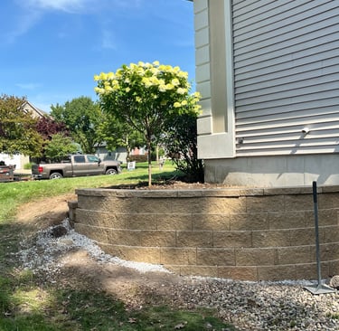 Curved stone retaining wall for a residential landscape garden bed with a flowering hydrangea tree.
