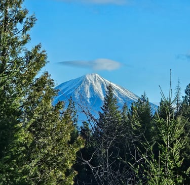 Snow-capped mountain peak framed by evergreen pine trees under a clear blue sky with a lenticular cloud.