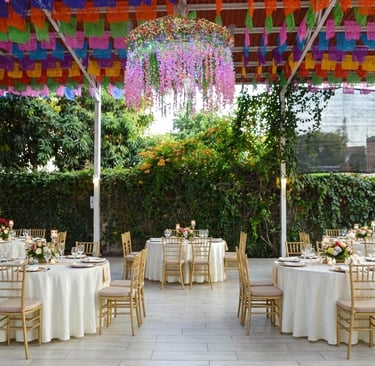 Elegante diseño con sillas Tifanny