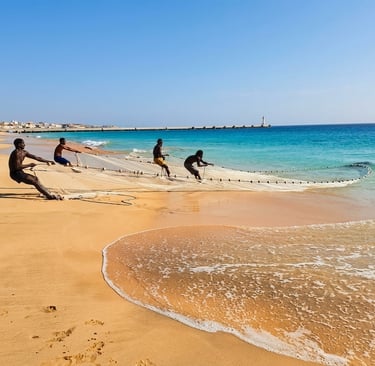 A group of local fishermen pulling a traditional net on the golden beach of Vila do Maio, Cape Verde