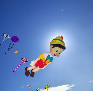 kites flying in the sky